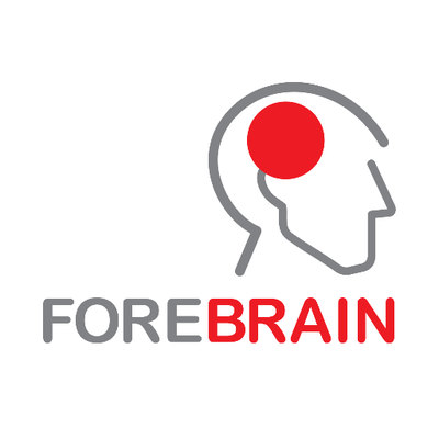 forebrain