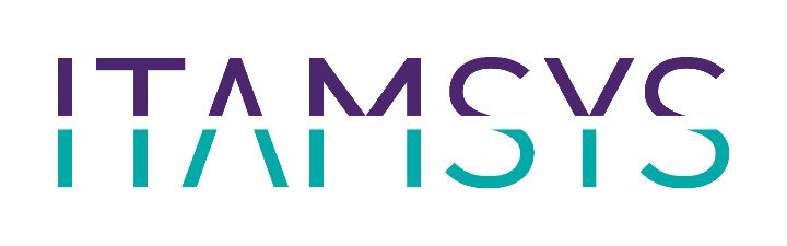itamsys logo 2000x625px