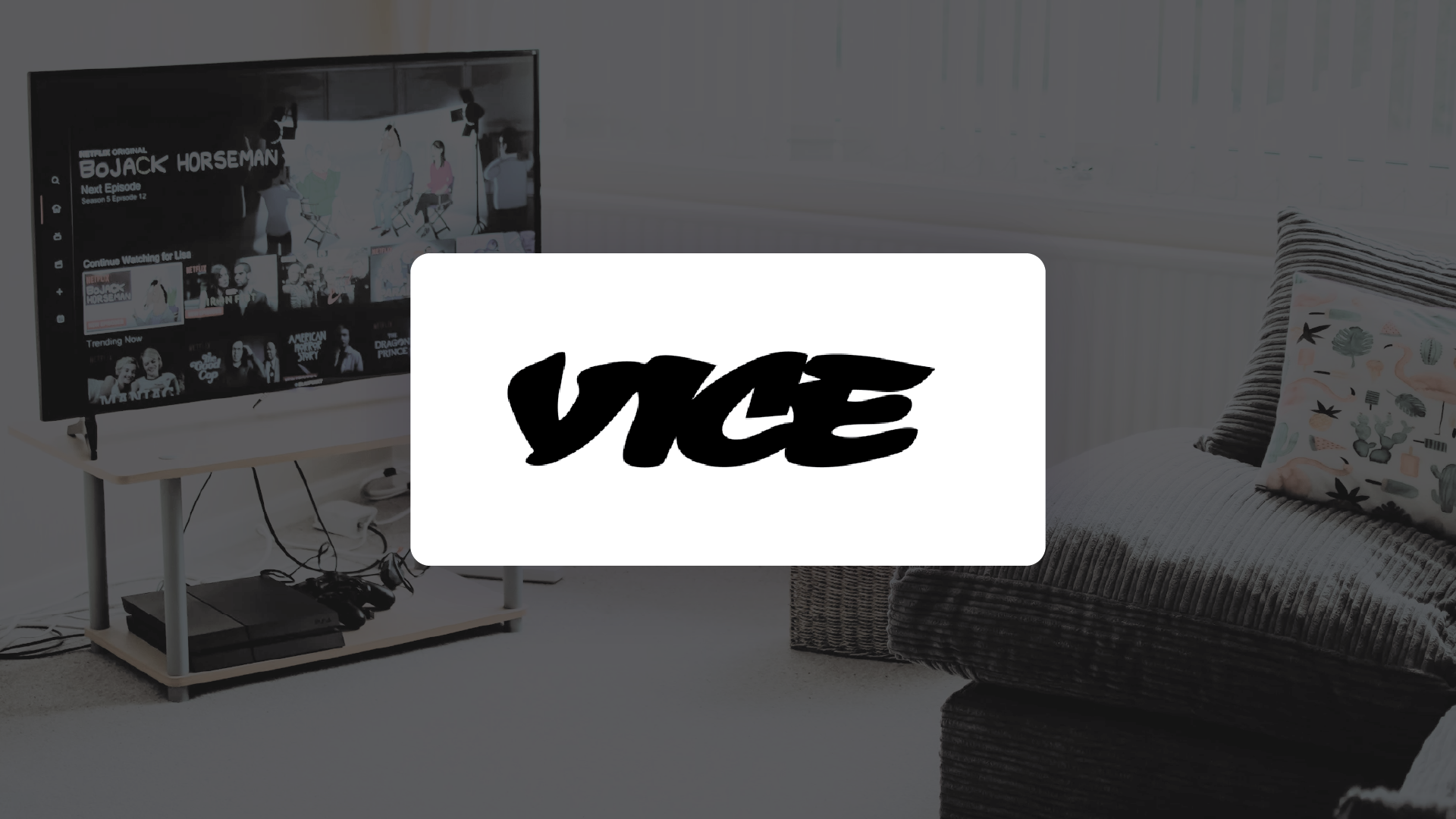 vice 1 5x