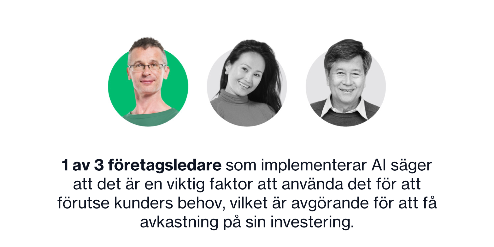 swedish landing page 23