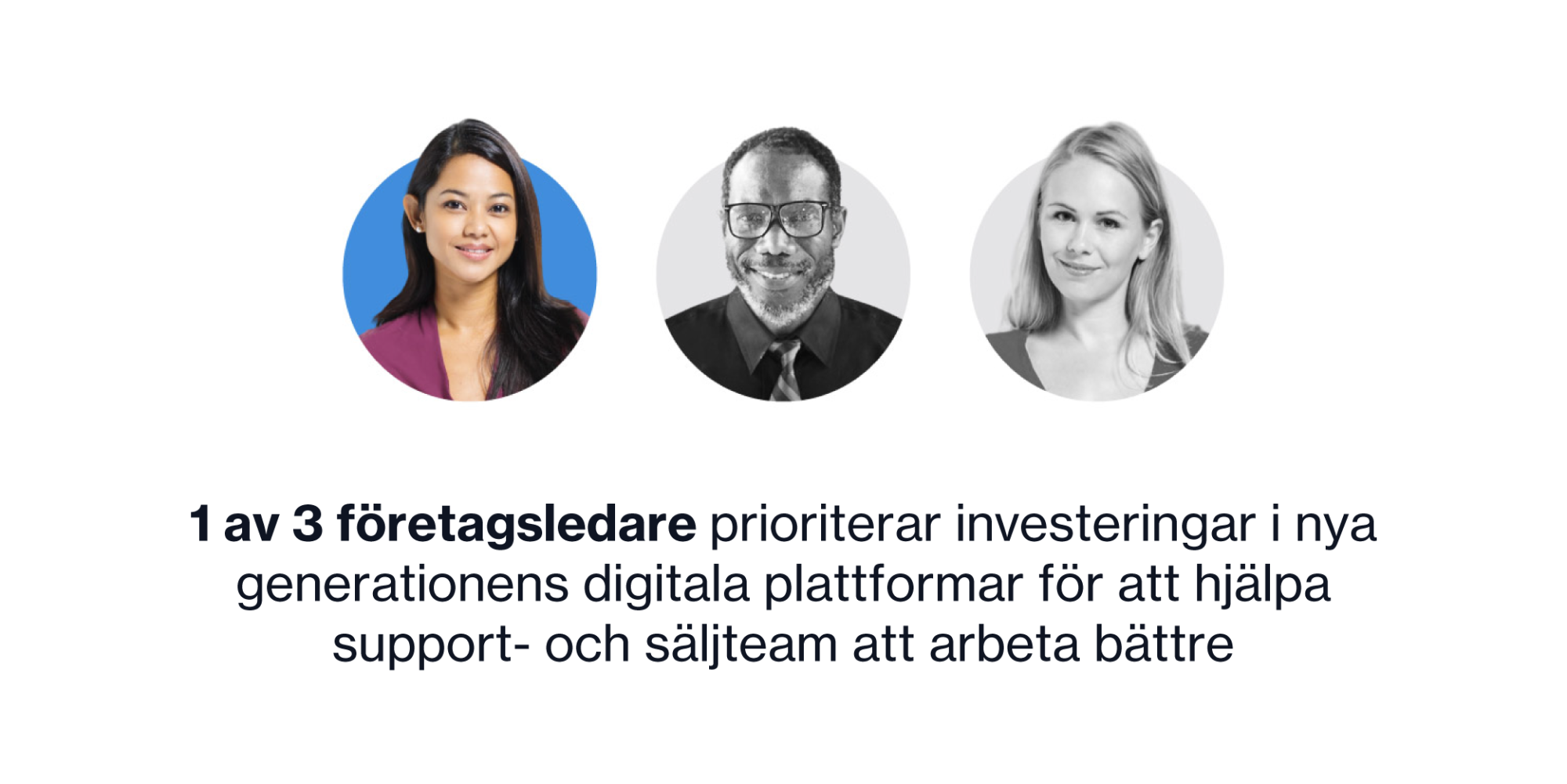 swedish landing page 24