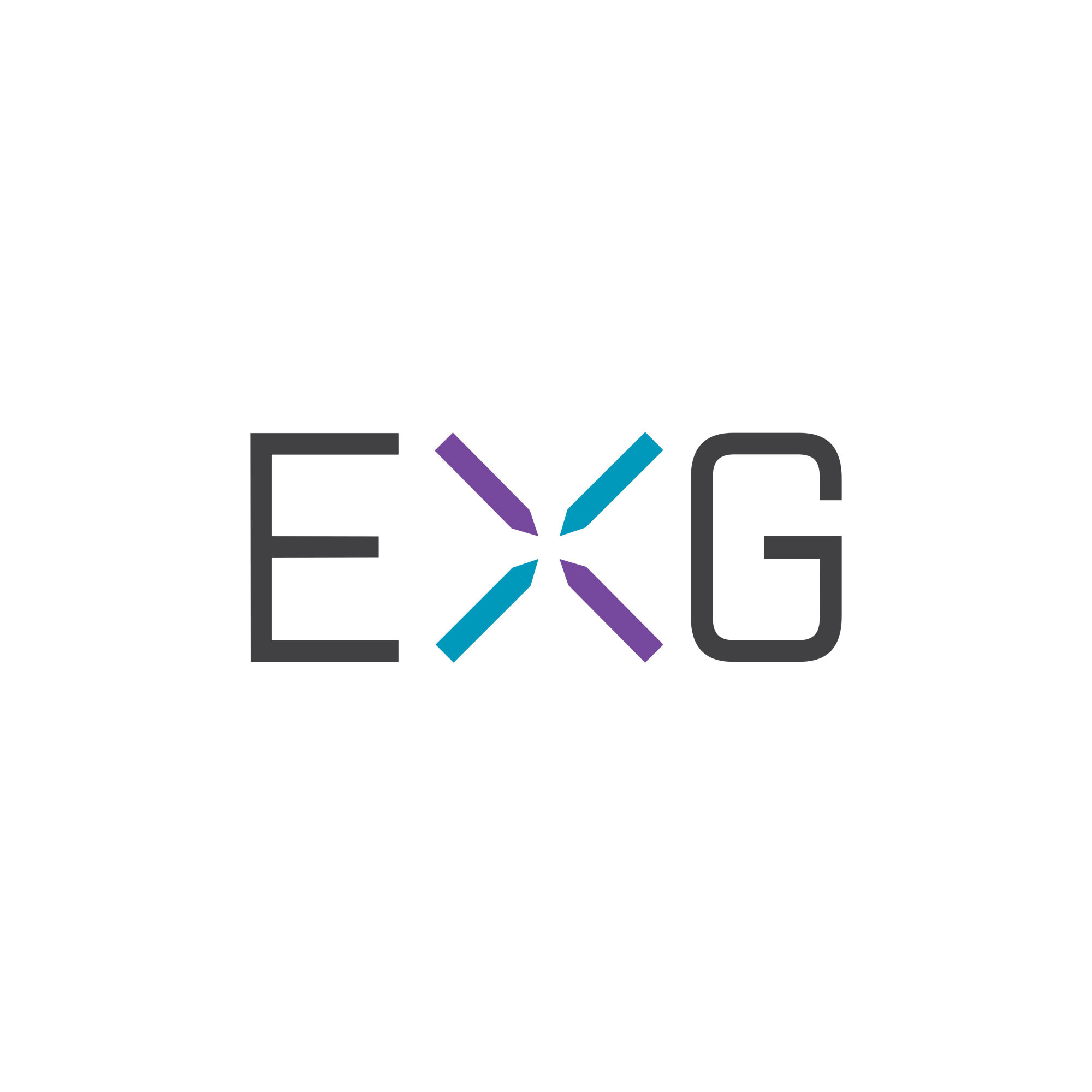 exg logo